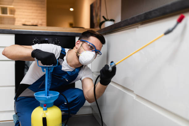 Best Wasp Removal Services  in Bourg, LA