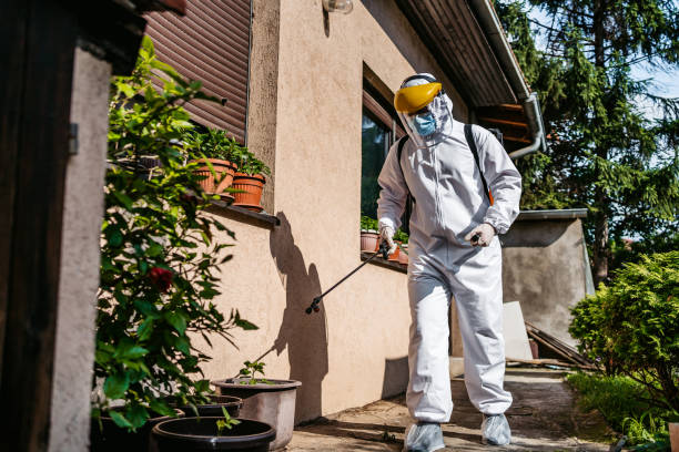 Best Wildlife Control Services  in Bourg, LA
