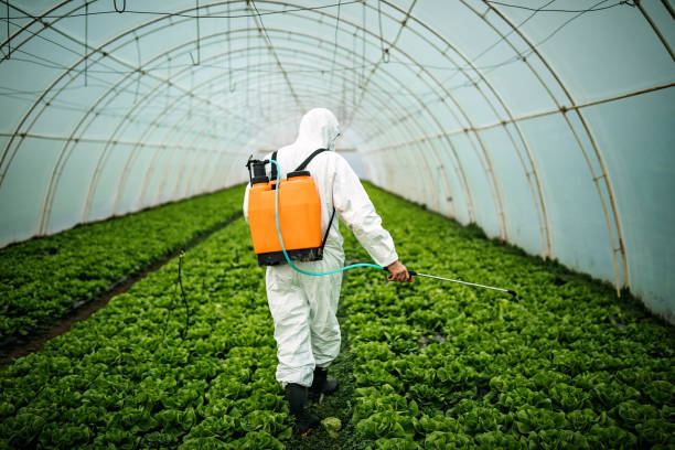 Best Best Pest Control Near Me  in Bourg, LA