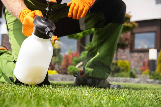 Reliable Bourg, LA Pest Control Solutions