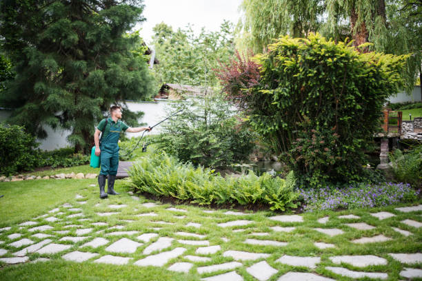 Best Pest Removal Services  in Bourg, LA