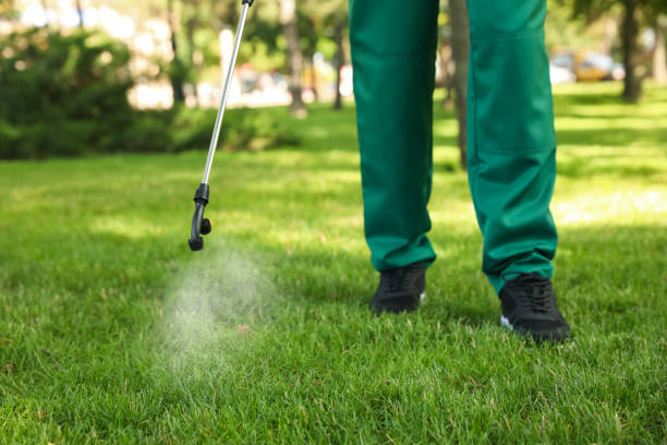 Best Insect Control  in Bourg, LA