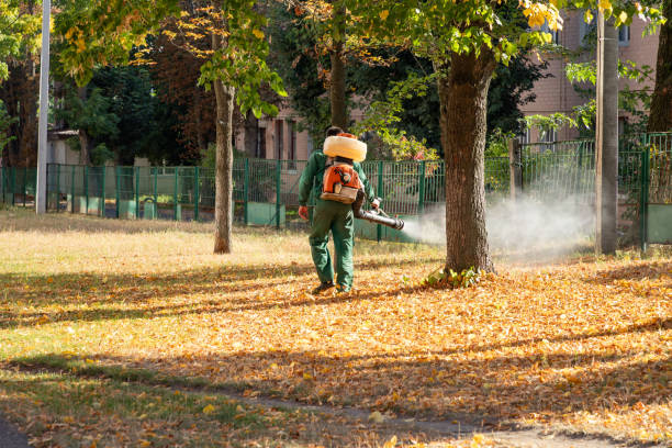 Best Termite Control Services  in Bourg, LA