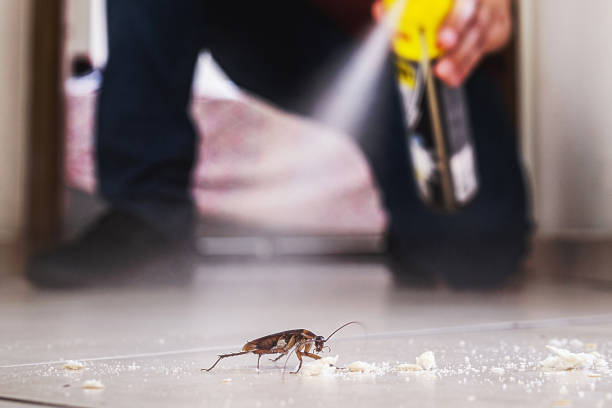 Best Exterminator Services  in Bourg, LA