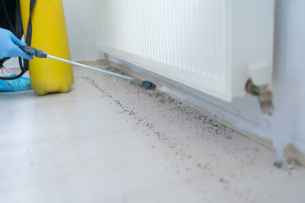 Best Pest Prevention Services  in Bourg, LA