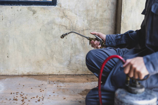 Best Affordable Exterminators  in Bourg, LA
