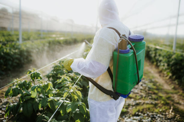 Best Best Pest Control Companies  in Bourg, LA
